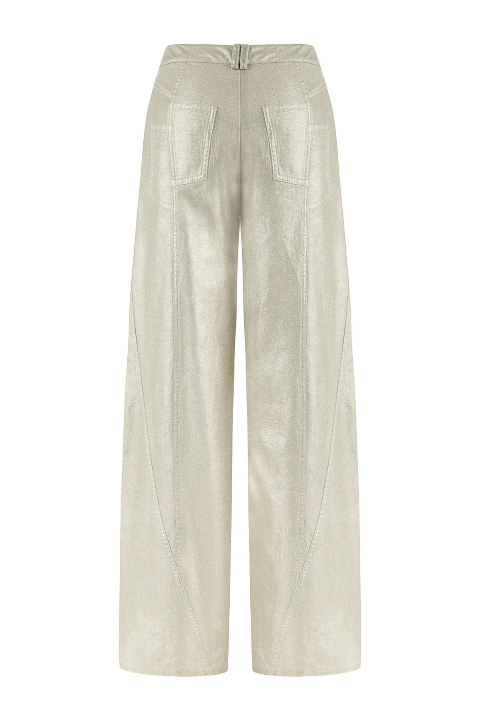 Metallic Printed Pants